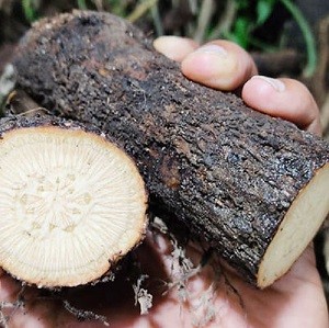 চুইঝাল 100gm