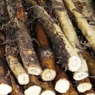 চুইঝাল ১০০গ্রাম