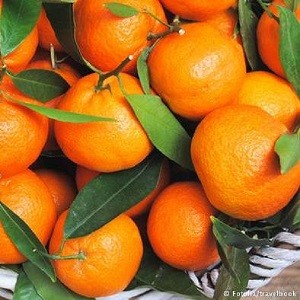 কমলা লেবু 500gm