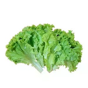 লেটুস পাতা 100gm