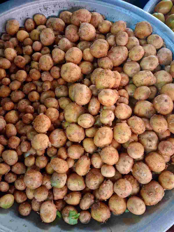 নতুন আলু ৫০০গ্রাম