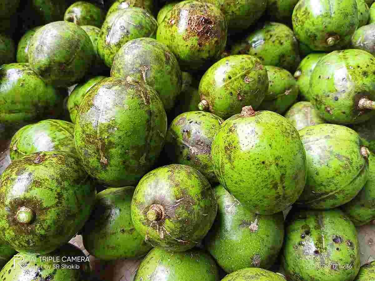 আমড়া ১ কেজি