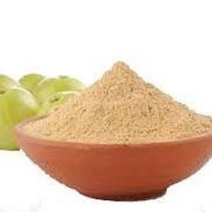 আমলকী গুড়া ১০০ gm