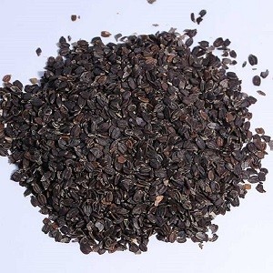 তোকমা basil-seed ১০০ gm