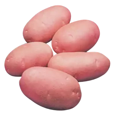 আলু 1kg (লাল)