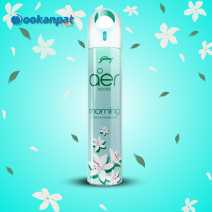 Godrej Aer Spray Morning Misty - 300ml