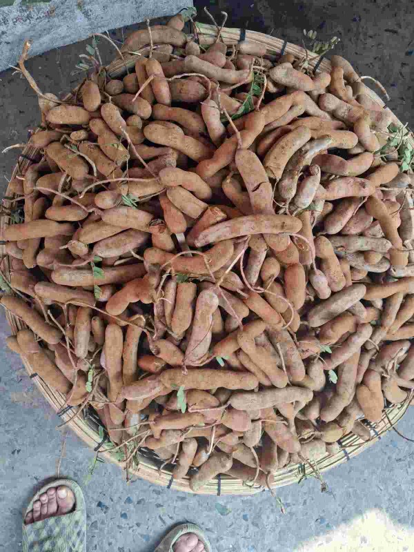 তেঁতুল ১০০ গ্রাম