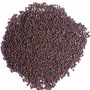 সরিষা ১০০ gm