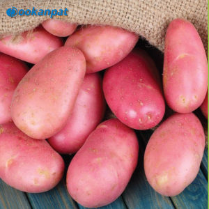 আলু 500gm (লাল)