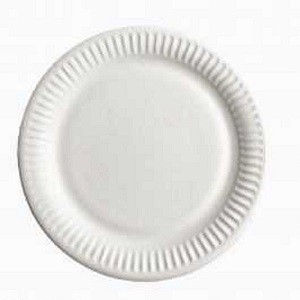 One Time Plastic Plate 100 piece