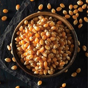 পপকন বীজ 500gm