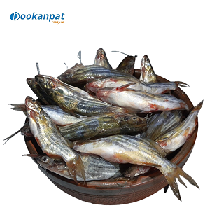 ট্যাংরা মাছ 1kg